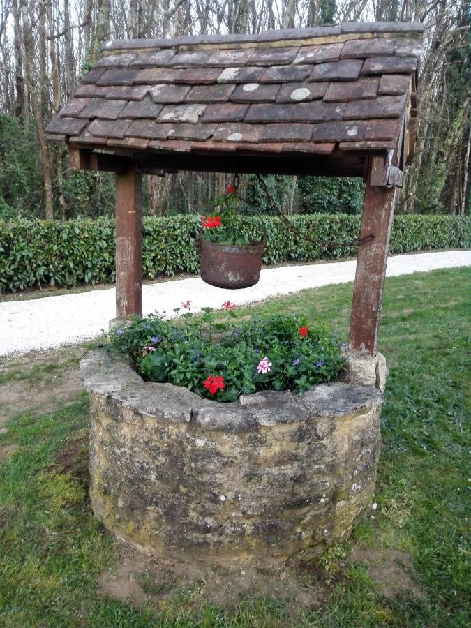 Le Chalet Douillet Saint-Genies Bagian luar foto