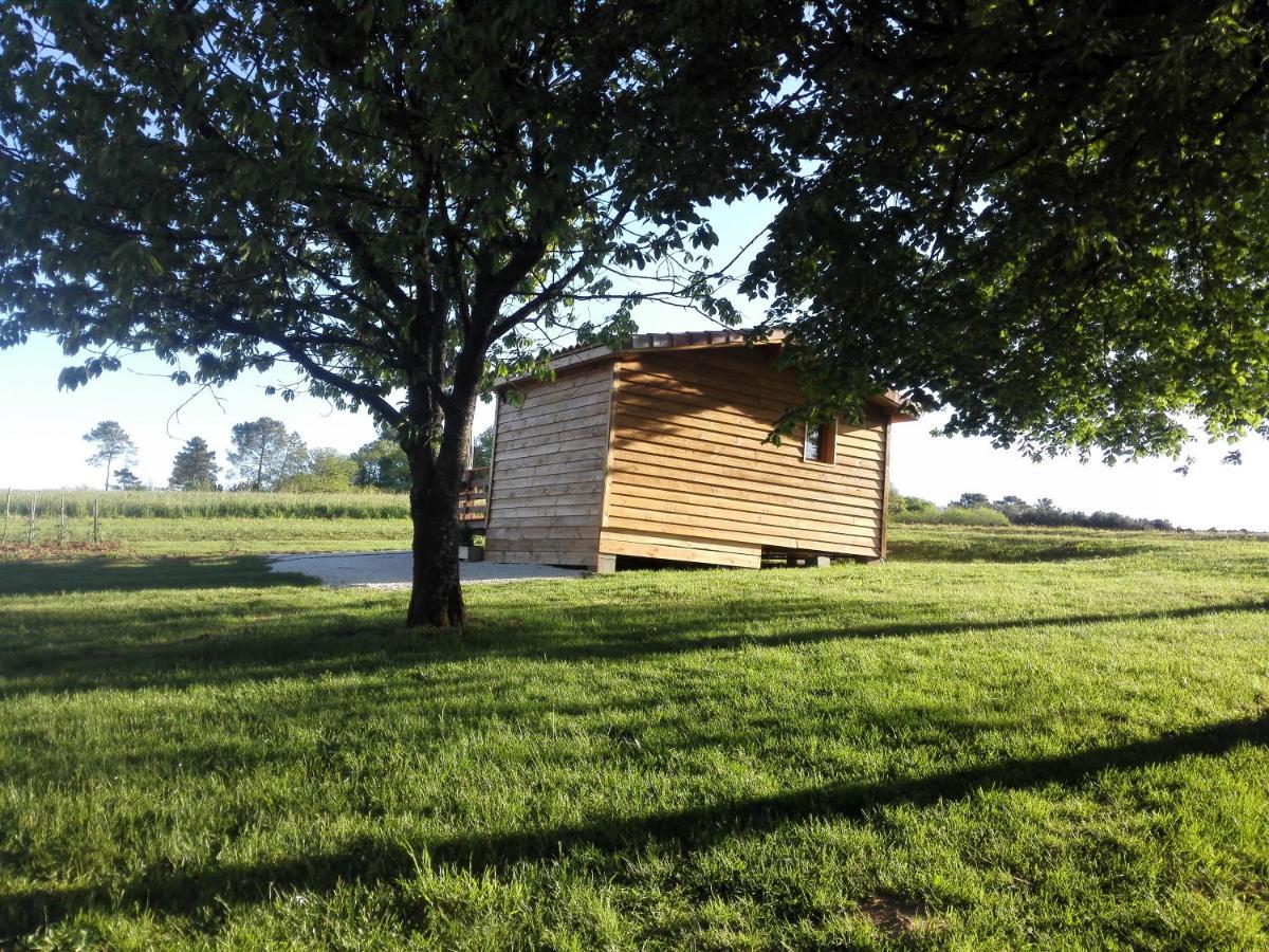 Le Chalet Douillet Saint-Genies Bagian luar foto